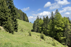 IMG_7522