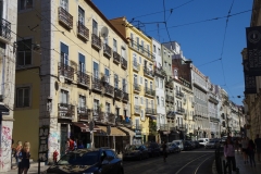 DSC06803