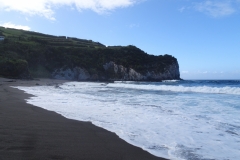 DSC05950