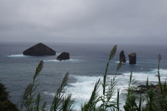DSC05808