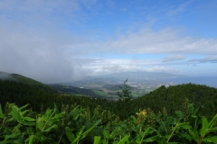 DSC05862