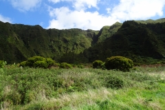 DSC05901