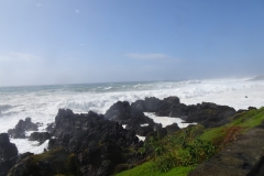 DSC06320