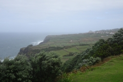 DSC06328