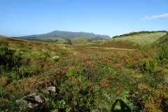 DSC06400