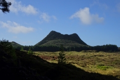 DSC06406