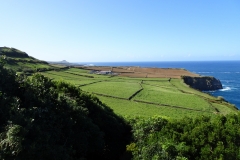 DSC06431