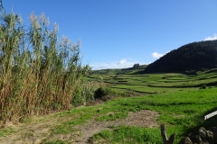 DSC06470